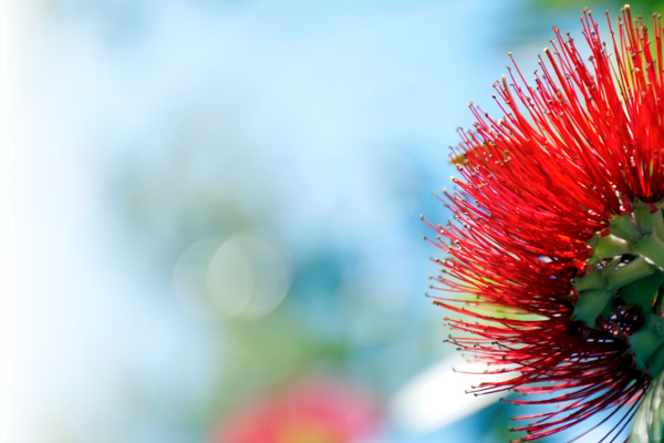 Times 7 Summer Closure And Shipment Dates 2025 2026 (2)